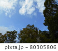 青空 80305806
