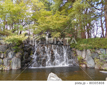 上尾丸山公園の滝 上尾丸山公園の滝 80305808