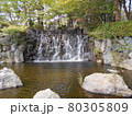 上尾丸山公園の滝 80305809