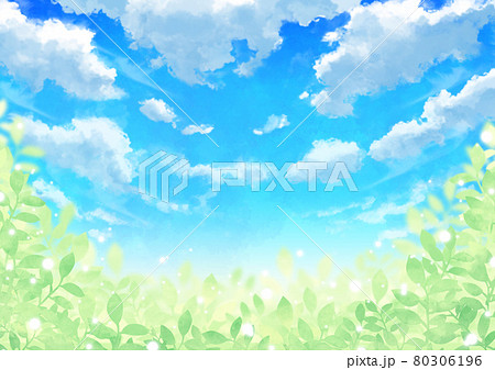 青空と雲と輝く葉っぱ 80306196