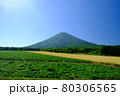羊蹄山と小麦畑 80306565