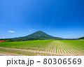 羊蹄山と大豆畑 80306569