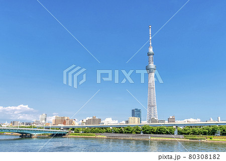 東京の都市風景　スカイツリー 80308182