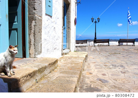 エーゲ海の野良猫、パトモス島　ギリシャ 80308472