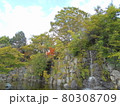 上尾丸山公園 80308709