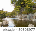 上尾丸山公園の水辺 80308977