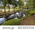 上尾丸山公園の水辺 80309358
