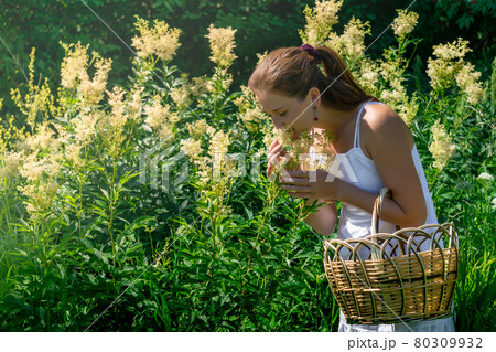 young woman herbalist inhales the aroma of meadowsweet during her harvest 80309932