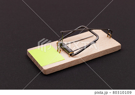 Small Memo Paper in Wooden Mousetrap - Template 80310109