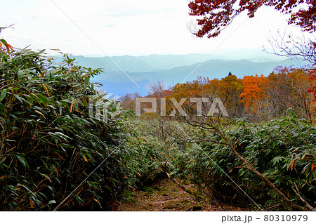 氷ノ山山頂までの落葉のある登山道から但馬の山々が望める 80310979
