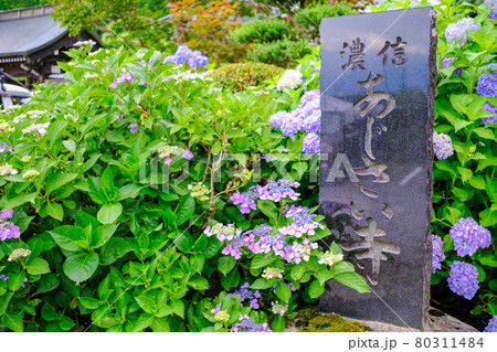 弘長寺 石碑 80311484