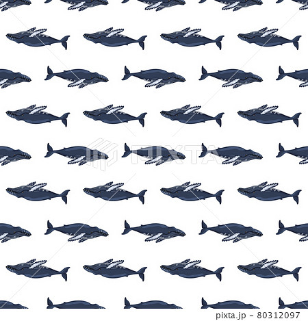 whale template pattern