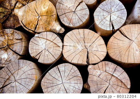 Stacked of firewood logs 80312204