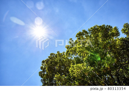 夏の空と太陽　横浜 80313354