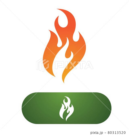 Fire flame logo vector illustration 80313520