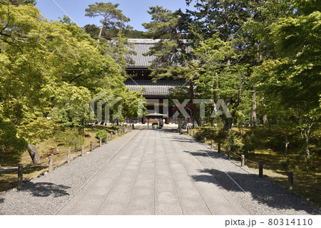 南禅寺　法堂 80314110