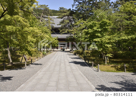 南禅寺　法堂 80314111