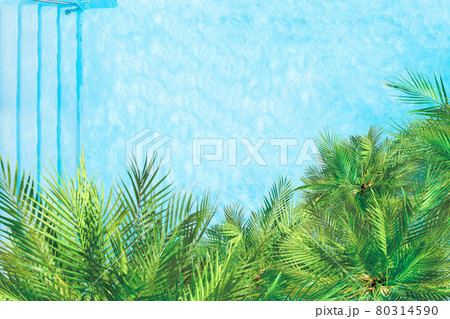 Aerial drone view from above on swimming pool and palm trees. Tropical summer luxury hotel Aerial drone view from above on swimming pool and palm trees. Tropical summer luxury hotel 80314590