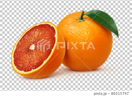 Blood orange illustration real set 80315747