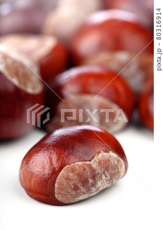 Still life photography Still life photography 80316914