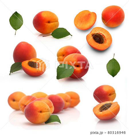 Still life photography 80316946