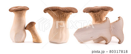 King oyster mushroom isolated on white background. Pleurotus eryngii mushroom. King oyster mushroom isolated on white background. Pleurotus eryngii mushroom. 80317818