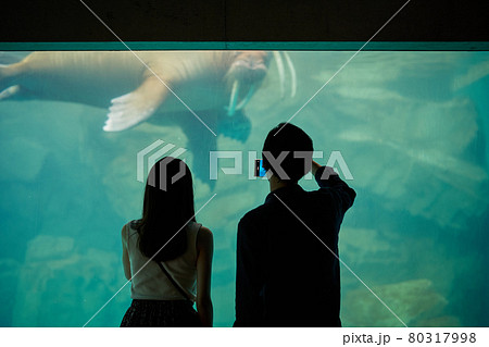 水族館デートをする若いカップル 80317998