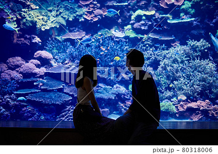 水族館デートをする若いカップル 水族館デートをする若いカップル 80318006