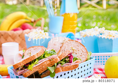 Lunch in the park on the green grass. Summer sunny day and picnic basket 80318071