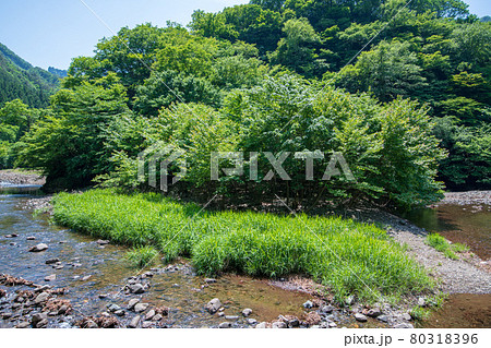 中木川　中木ダム、妙義湖上流付近　初夏の周辺景色　　　　　　 80318396