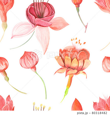 Seamless raster watercolor pattern with flowers fuchsia and leaves close up on a colored background Seamless raster watercolor pattern with flowers fuchsia and leaves close up on a colored background 80318482
