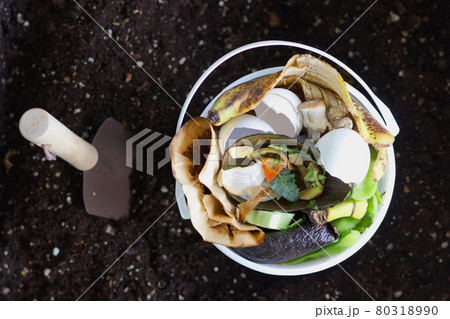 バケツいっぱいの生ゴミ　堆肥作り2 80318990