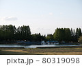 愛知県、庄内緑地公園の池 80319098
