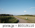 愛知県、庄内緑地公園の河川敷 80319110