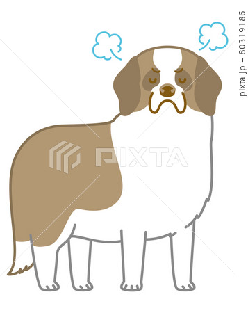 怒るセントバーナードのイラスト素材