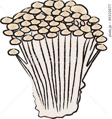 エノキ茸のイラスト素材