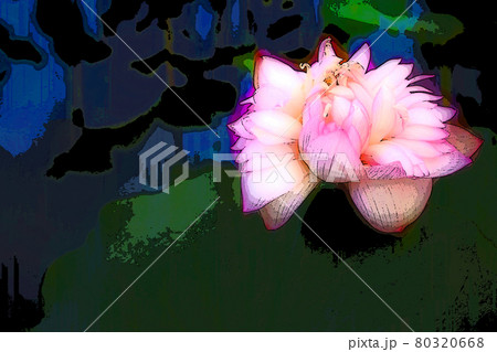 ハスの花香る癒しの窓辺 ハスの花香る癒しの窓辺 80320668