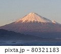 三保松原からの富士山 80321183