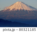 三保松原からの富士山 80321185