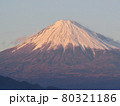 三保松原からの富士山 80321186