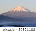 三保松原からの富士山 80321188