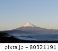 三保松原からの富士山 80321191