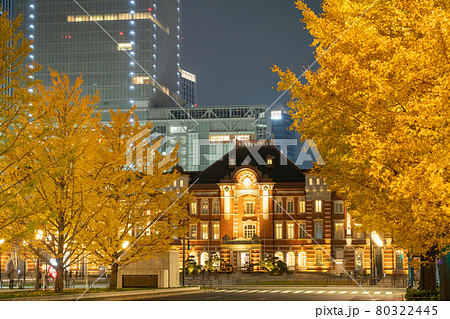 東京_丸ノ内の銀杏並木 80322445