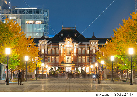 東京_丸ノ内の銀杏並木 80322447