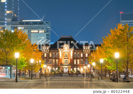 東京_丸ノ内の銀杏並木 80322448