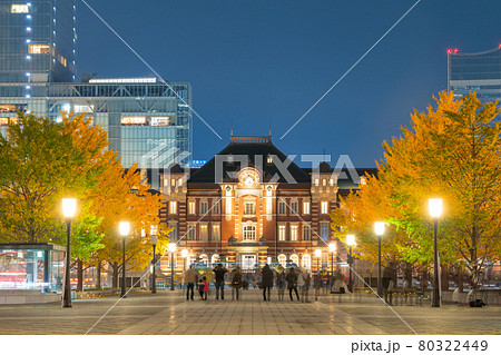 東京_丸ノ内の銀杏並木 80322449