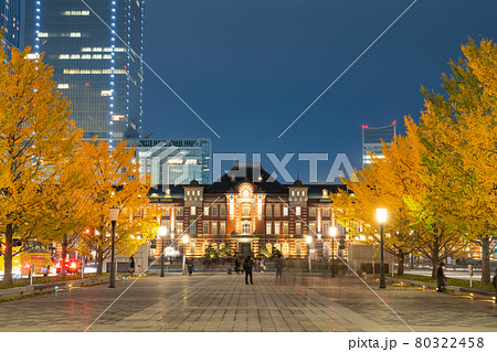 東京_丸ノ内の銀杏並木 80322458