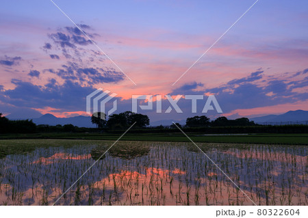 水田と夕焼けのイメージ 水田と夕焼けのイメージ 80322604