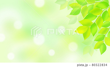新緑の葉と光のボケの背景イラストのイラスト素材