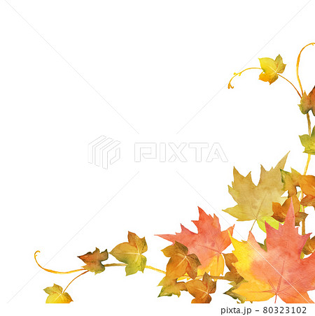 秋の紅葉のデコレーション　水彩イラスト 80323102
